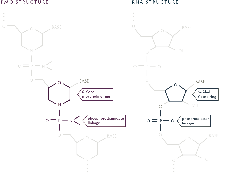 pmo_vs_rna