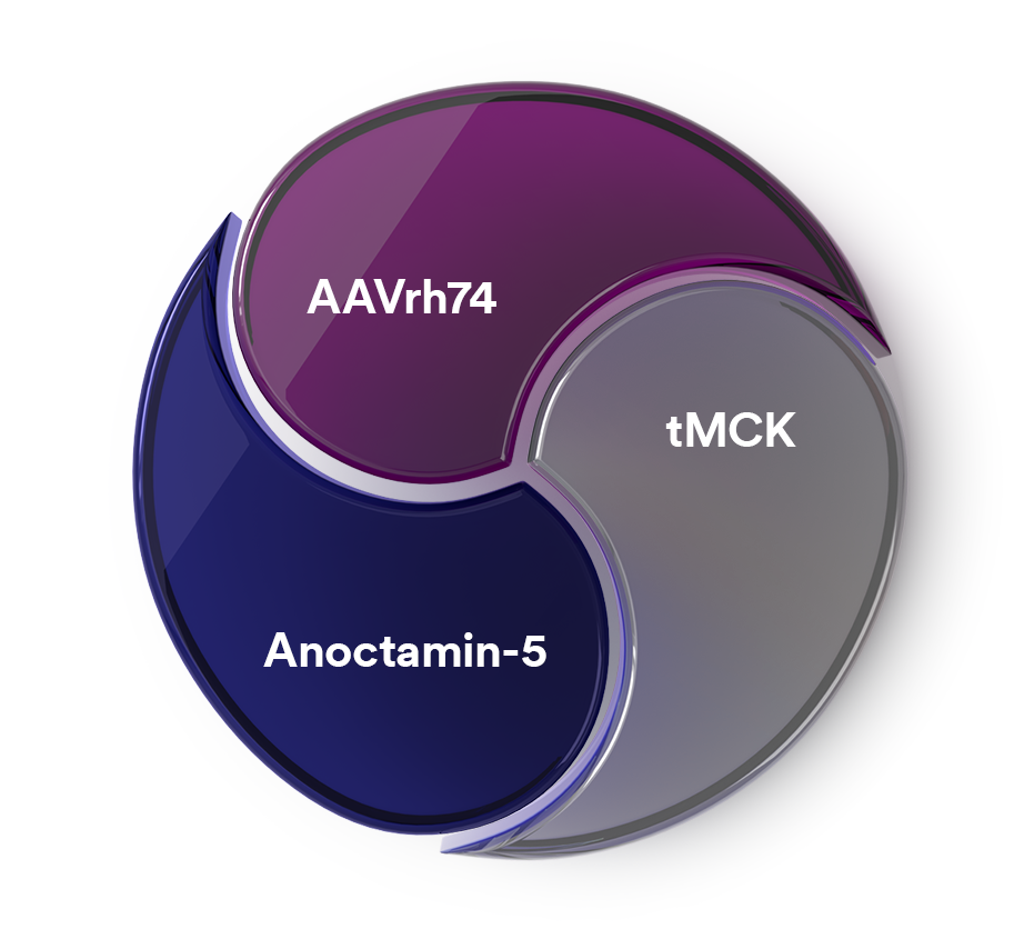 anoctamin-5