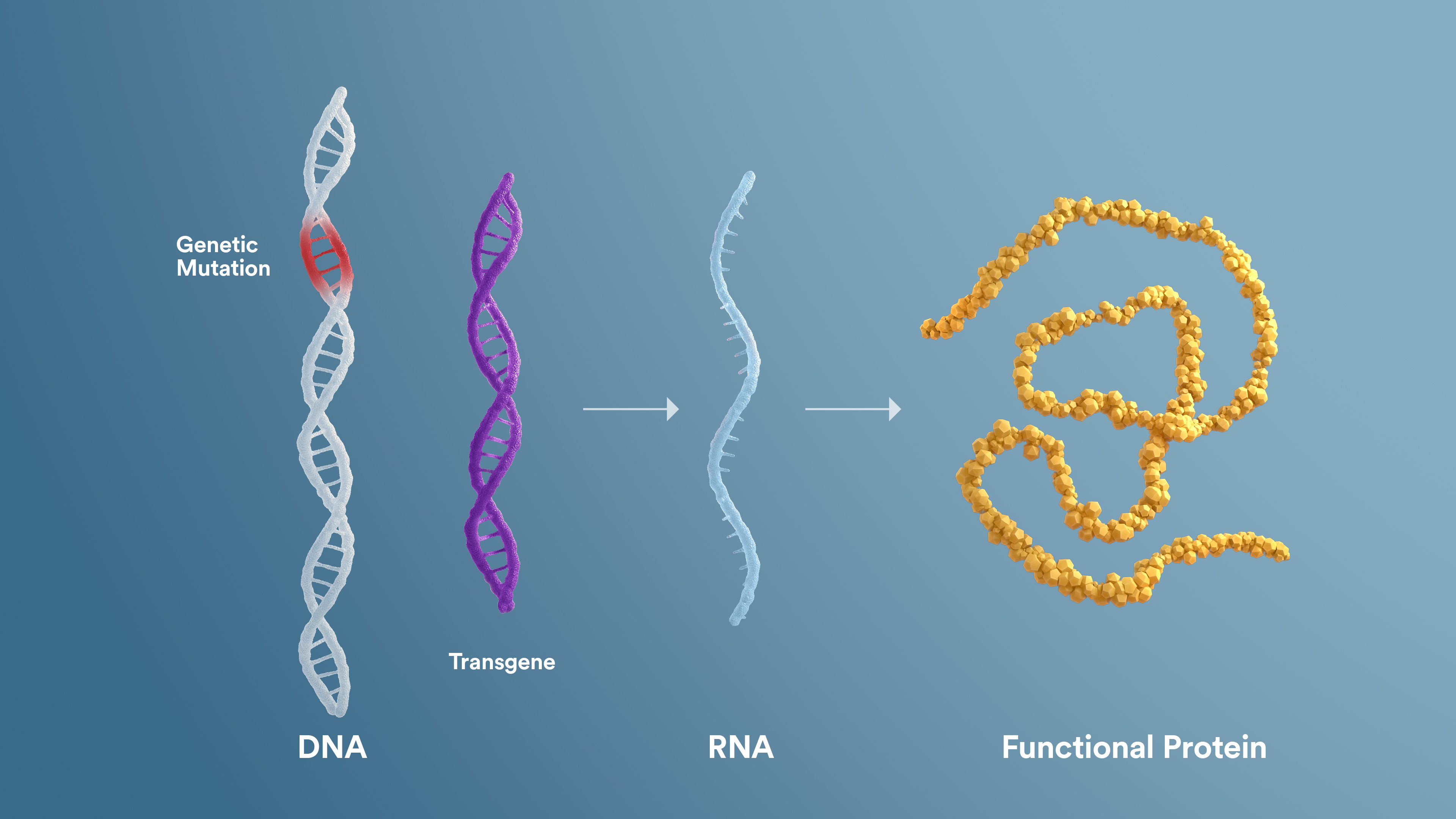 Gene therapy