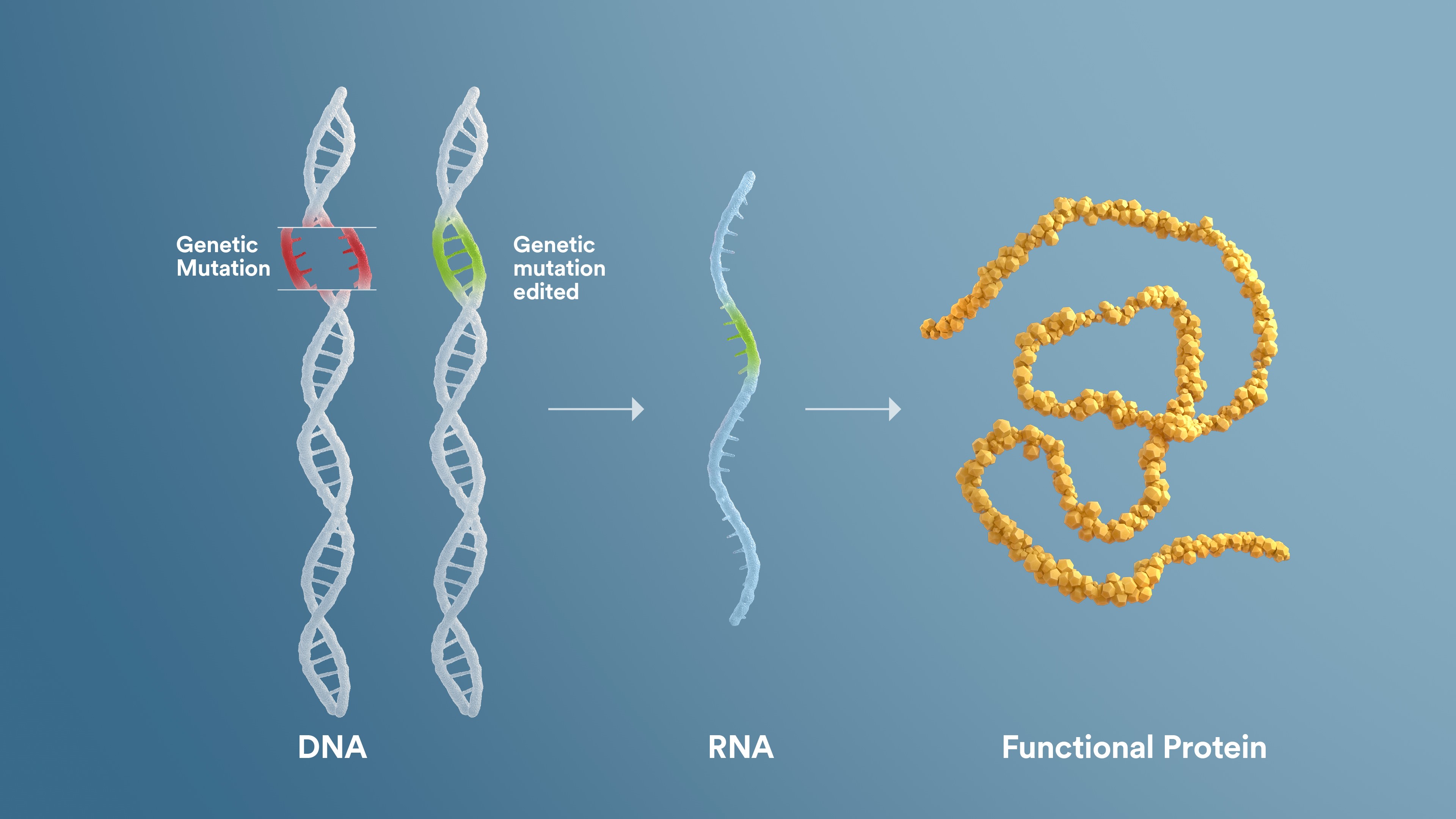 Gene editing