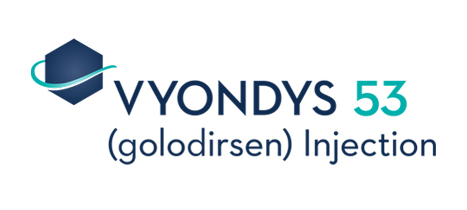 Vyondys 53