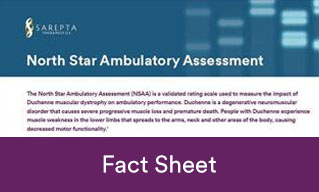 NSAA Fact Sheet Thumbnail