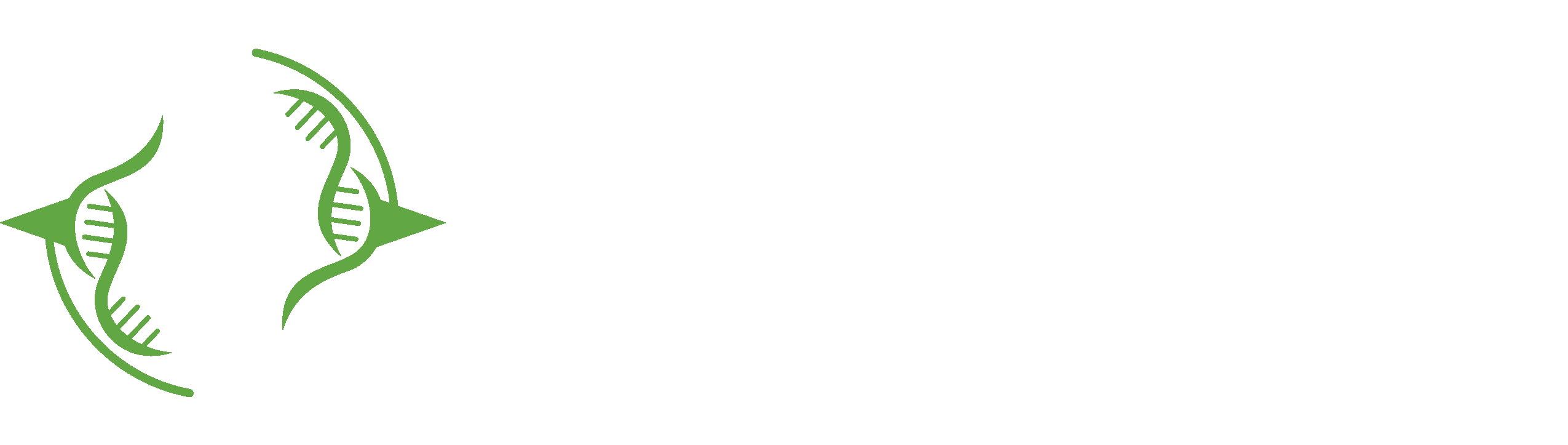 What is LGMD