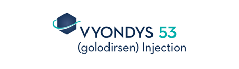 vyondys 53 logo 