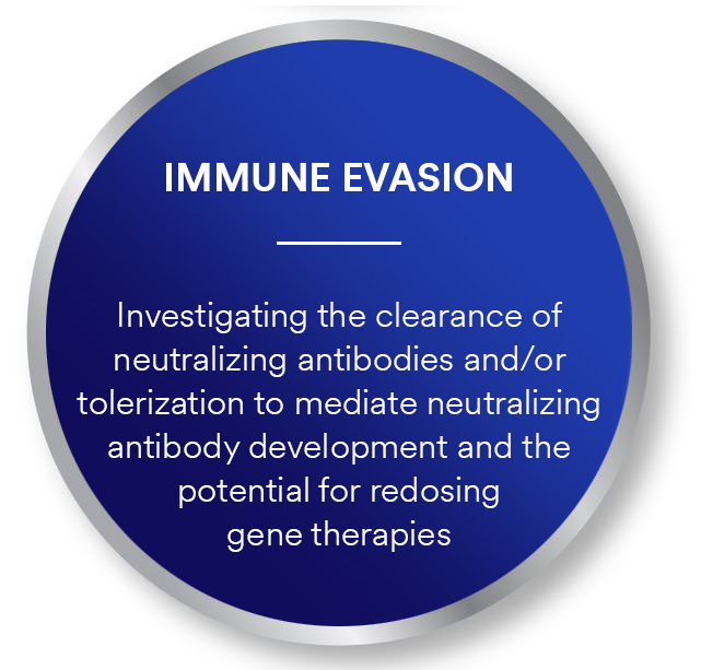 immune evasion