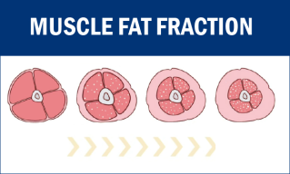 muscle_fat_frac